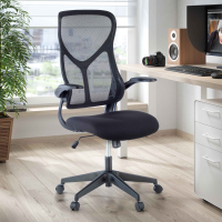 Cadeira de computador Raptor, braços dobráveis, encosto ergonômico