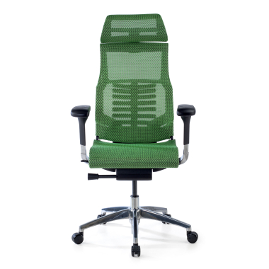 cadeira ergonomica verde estrutura negra malha mesh bracos regulaveis 5d apoio lombar apoio de cabeca 3