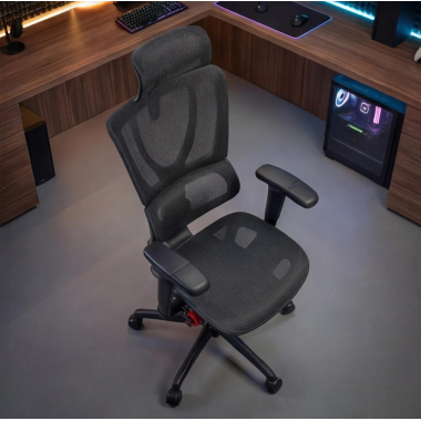 Conforto Integral