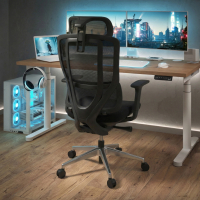 Cadeira Ergonômica com Apoia Cabeças AeroFlow black, certificada