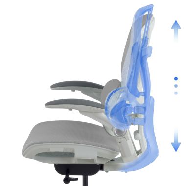 Design Ergonômico