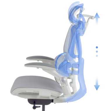 Design Ergonômico