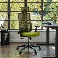 Cadeira Ergonômica Quick, encosto biónico, braços reguláveis