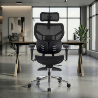 Cadeira ergonômica Erghos...