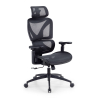 Cadeira de escritório ergonómica Velstrom com apoio lombar e braços 3D