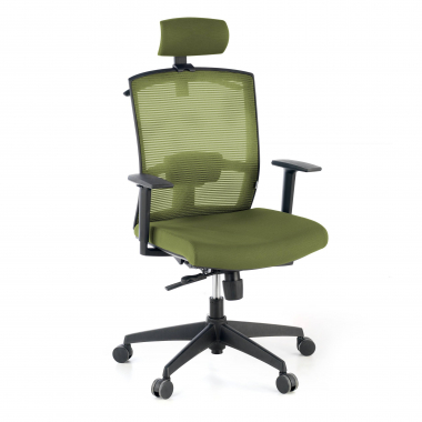 cadeira ergonomica verde estrutura negra reposacabecas malha mesh bracos regulaveis 1d apoio lombar apoio de cabeca 1