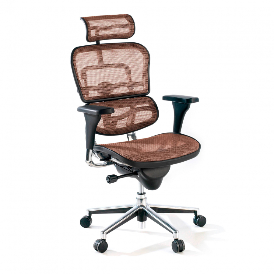 Cadeira de escritório Ergohuman com apoio de cabeça, alumínio, rede