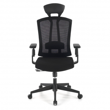 cadeira ergonomica preto ridley malha mesh bracos regulaveis 3d apoio lombar apoio de cabeca 4