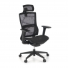 Cadeira Ergonómica Winter, Suporte Lombar, Apoia Cabeças