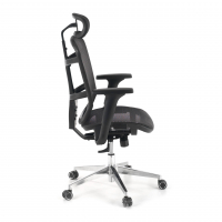 Cadeira Ergonomica Home Office Dover, apoio de cabeça, base alumínio, 8 horas