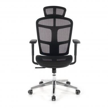 Cadeira Ergonomica Home Office Dover, apoio de cabeça, base alumínio, 8 horas