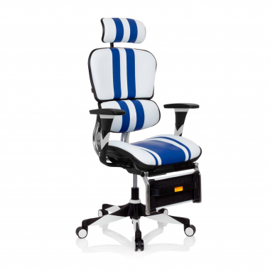 cadeira gaming azul ergoplus pele verdadeira bracos regulaveis 3d apoio lombar apoio de pes extensivel 1