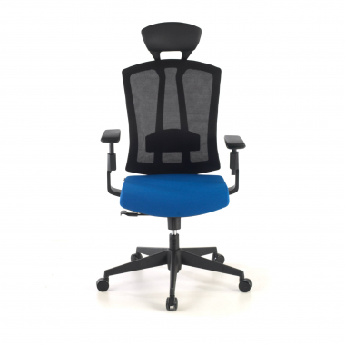 cadeira ergonomica azul ridley malha mesh bracos regulaveis 3d apoio lombar apoio de cabeca 4