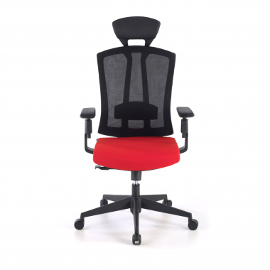 cadeira ergonomica vermelho ridley malha mesh bracos regulaveis 3d apoio lombar apoio de cabeca 6