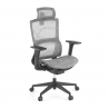 Cadeira Ergonómica Winter, Suporte Lombar, Apoia Cabeças