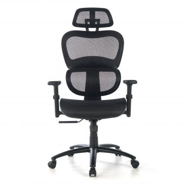 cadeira ergonomica preto estrutura negra malha mesh bracos regulaveis 3d apoio lombar duplo apoio de cabeca 5