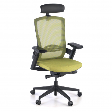 cadeira ergonomica verde wagner malha mesh bracos regulaveis 3d apoio lombar 1