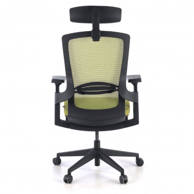 cadeira ergonomica verde wagner malha mesh bracos regulaveis 3d apoio lombar 6