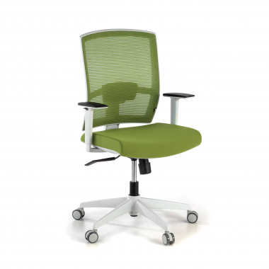 cadeira ergonomica branco verde estrutura branca malha mesh bracos regulaveis 1d apoio lombar 1