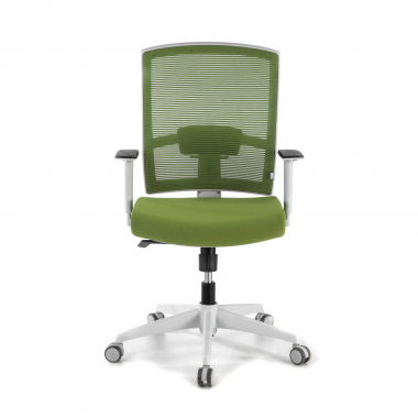 cadeira ergonomica branco verde estrutura branca malha mesh bracos regulaveis 1d apoio lombar 4