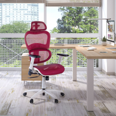 Ergonómica 