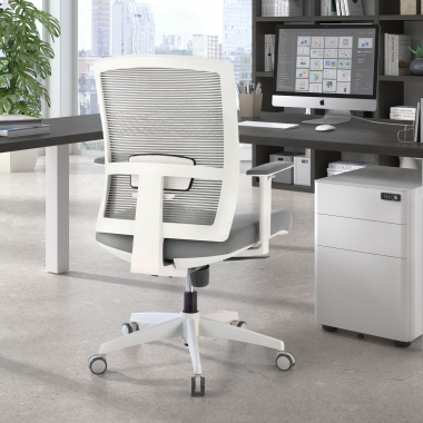 cadeira ergonomica branco cinzento estrutura branca malha mesh bracos regulaveis 1d apoio lombar 2