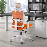 Cadeira de Escritório Ergonómica Akira white com encosto de cabeça