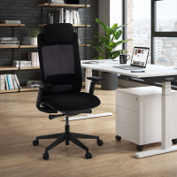 Cadeira de Escritório Ergonómica Intouch black, Totalmente Ajustável