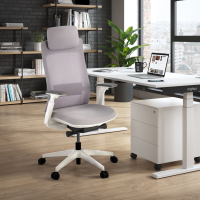 Cadeira de Escritório Ergonómica Intouch white, Totalmente Ajustável
