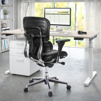 Cadeira de escritório Ergohuman pele natural, alumínio