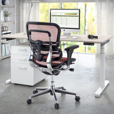 Cadeira Ergonómica Ergohuman, modelo premium, alumínio, rede