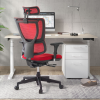 Cadeira Ergonómica Energy,...