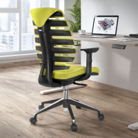 Cadeira Ergonómica Soul, espuma injectada, Mecanismo Oscilante
