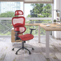 Cadeira ergonómica...