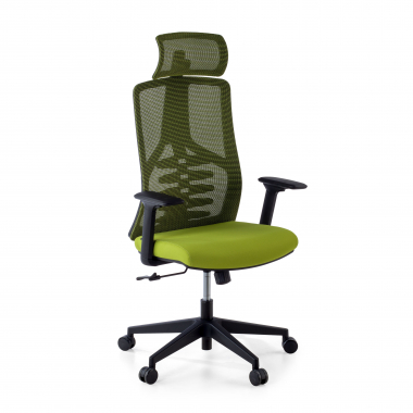 cadeira ergonomica verde quick malha mesh bracos regulaveis 3d apoio lombar apoio de cabeca 1