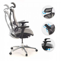 Cadeira Ergonômica Focus, Estrutura de alumínio, Encosto Ajustável