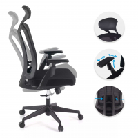 Cadeira Ergonômica Ridley, apoio de cabeça, mecanismo oscilante