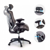 Cadeira Ergonómica Thunder, premium, apoio lombar, rede