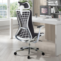 Cadeira Ergonômica...