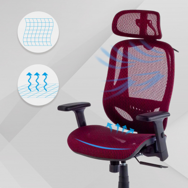 Ergonômica