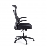Cadeira de computador Raptor, braços dobráveis, encosto ergonômico