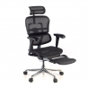 Cadeira executiva ergonomica Ergohuman Edition I, Estrutura preta