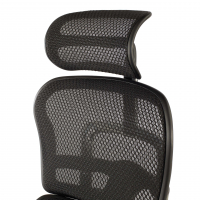 Cadeira ergonômica com apoio para os pés Ergohuman Edition I, modelo premium