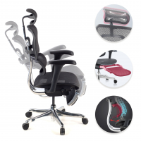 Cadeira ergonômica com apoio para os pés Ergohuman Edition I, modelo premium