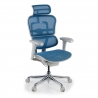 Cadeira executiva ergonomica Ergohuman Edition I, Estrutura branca