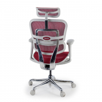 Cadeira executiva ergonomica Ergohuman Edition I, Estrutura branca