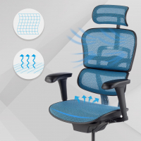 Cadeira executiva ergonomica Ergohuman Edition I, Estrutura preta