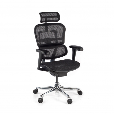 Cadeira executiva ergonomica Ergohuman Edition I, Estrutura preta