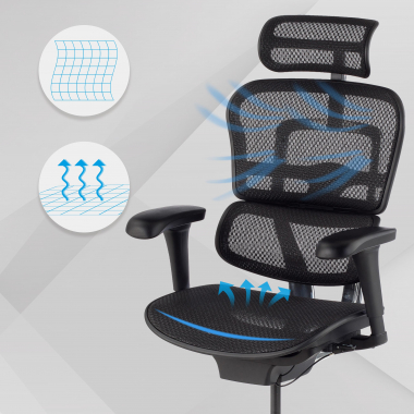 Cadeira executiva ergonomica Ergohuman Edition I, Estrutura preta