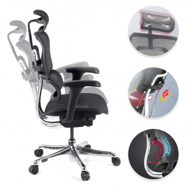 Cadeira executiva ergonomica Ergohuman Edition I, Estrutura preta